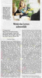 SZ-Artikel web